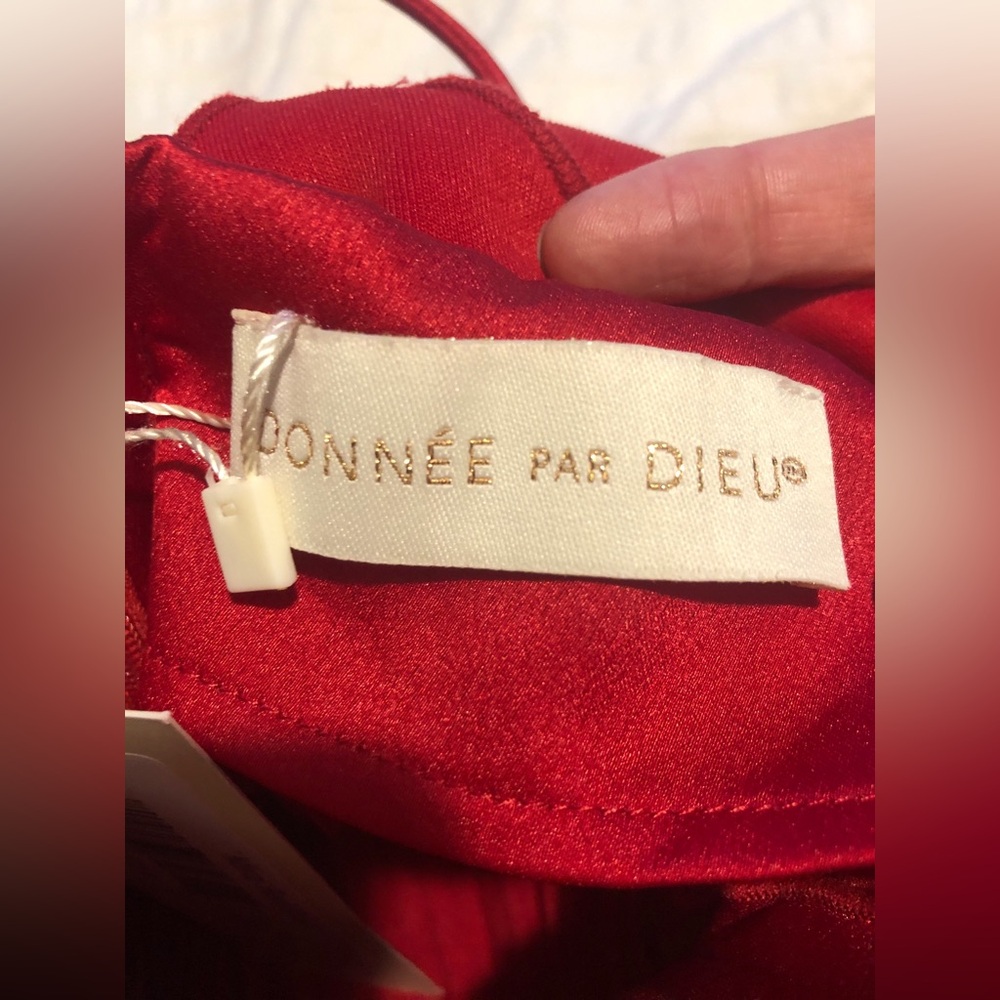 NWT Donnee Par Dieu Red Sleeveless Pleated Prom Lace Up Maxi Dress size L - Picture 11 of 12